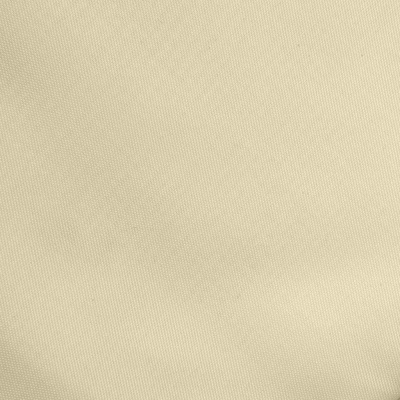 Ткань подкладочная Таффета 14-1014, антист., 53 гр/м2, шир.150см, цвет бежевый - купить в Златоусте. Цена 62.37 руб.