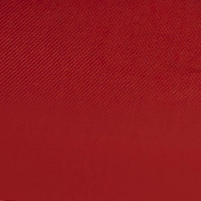 Ткань подкладочная Таффета 19-1656, антист., 53 гр/м2, шир.150см, цвет вишня - купить в Златоусте. Цена 63 руб.