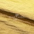 Текстильный материал "Диско"#1805 с покрытием РЕТ, 40гр/м2, 100% полиэстер, цв.5-золото - купить в Златоусте. Цена 412.36 руб.