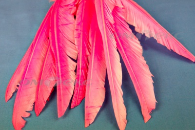 Декоративный Пучок из перьев, перо 25см/розовый - купить в Златоусте. Цена: 14.40 руб.