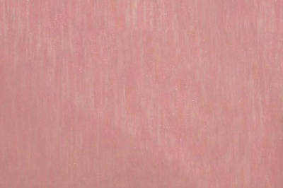 Органза однотонная "Амелия" С19 (Розовый) 280 см - купить в Златоусте. Цена 303.09 руб.