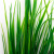 Трава искусственная -2, шт (осока 41см/8 см)				 - купить в Златоусте. Цена: 104.57 руб.