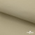 Ткань подкладочная TWILL 230T 14-1108, беж светлый 100% полиэстер,66 г/м2, шир.150 cм - купить в Златоусте. Цена 90.59 руб.