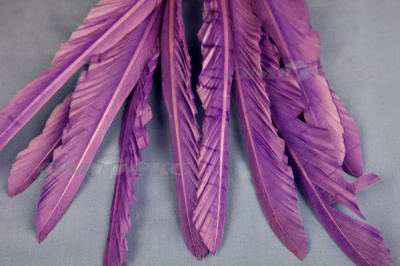 Декоративный Пучок из перьев, перо 25см/фиолетовый - купить в Златоусте. Цена: 12.19 руб.