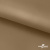Ткань подкладочная Таффета 17-1327, антист., 54 гр/м2, шир.150см, цвет св.коричневый - купить в Златоусте. Цена 65.53 руб.