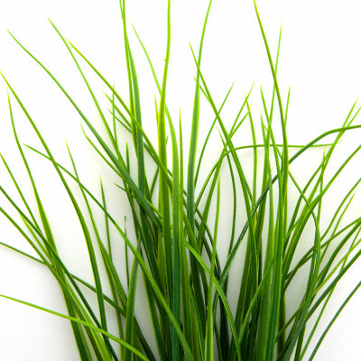 Трава искусственная -3, шт (осока 50 см/8 см  5 листов)				 - купить в Златоусте. Цена: 124.17 руб.
