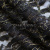 Кружевное полотно XD LACE 1-4, 80 гр/м2, шир.150см, цвет чёрный - купить в Златоусте. Цена 248.45 руб.